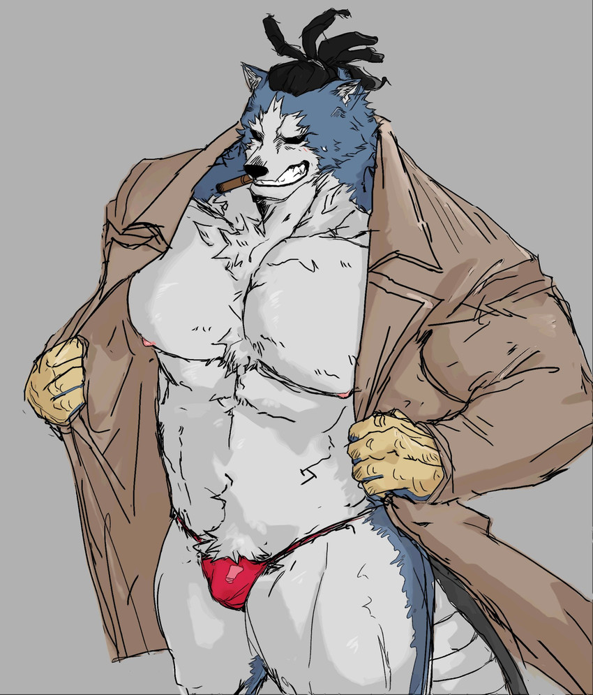 anthro barazoku barely_visible_genitalia barely_visible_penis big_muscles blue_body blue_fur body_hair bulge chest_tuft cigar clothed clothing detailed_bulge fur genital_outline genitals grey_background hair happy_trail male multicolored_body multicolored_fur muscular muscular_anthro muscular_male nipples open_clothing open_robe open_topwear pecs penis penis_outline robe simple_background small_penis smile solo standing teeth thong topwear torn_clothing tuft two_tone_body two_tone_fur underwear white_body white_fur tora_gy my_hero_academia chojuro_kon canid canine canis mammal wolf 2020 hi_res