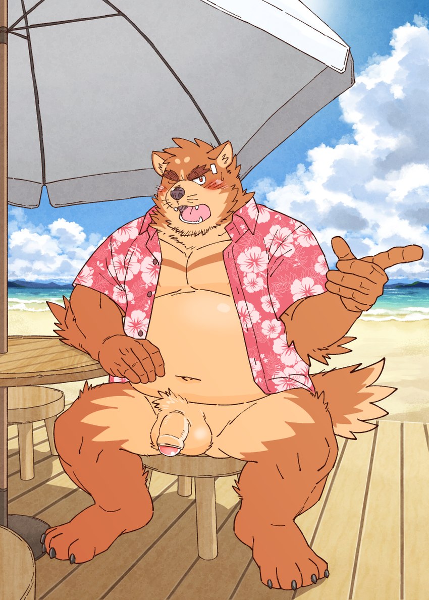 4_toes anthro balls barefoot beach belly blush brown_body brown_fur clothed clothing detailed_background feet footwear fur genitals humanoid_genitalia humanoid_hands humanoid_penis kemono male moobs musclegut muscular muscular_male navel open_clothing open_shirt open_topwear outside overweight overweight_anthro overweight_male penis seaside shirt sitting solo toes topwear water ryuta-h third-party_edit canid canine mammal censor_removal_edit hi_res