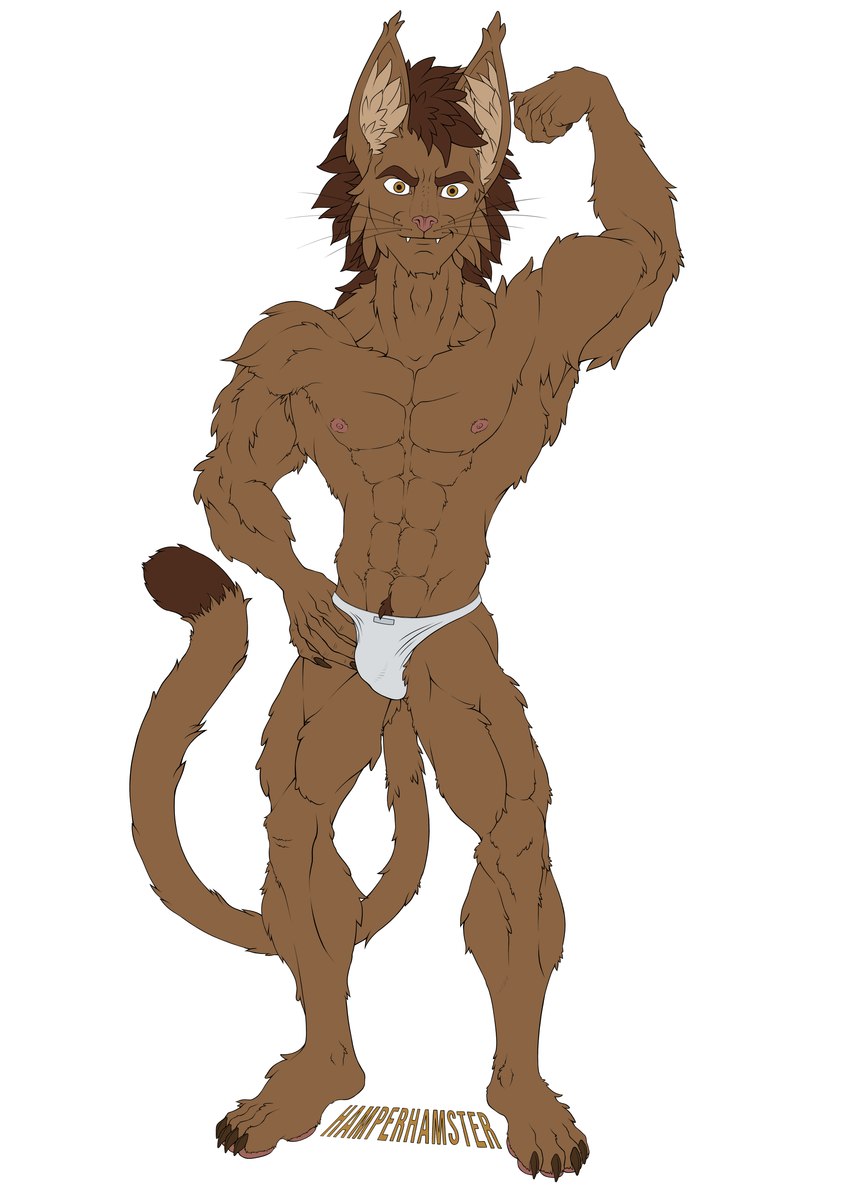 4_toes abs anthro biped brown_body brown_fur brown_hair bulge claws clothed clothing detailed_bulge feet flexing flexing_bicep flexing_muscles fur fuzzy hair male male_anthro muscular muscular_male pawpads pecs pink_pawpads plantigrade smile smirk solo speedo speedo_only swimwear tail toe_claws toes topless topless_anthro topless_male white_clothing white_speedo white_swimwear hamperhamster domestic_cat felid feline felis mammal absurd_res flat_colors hi_res line_art