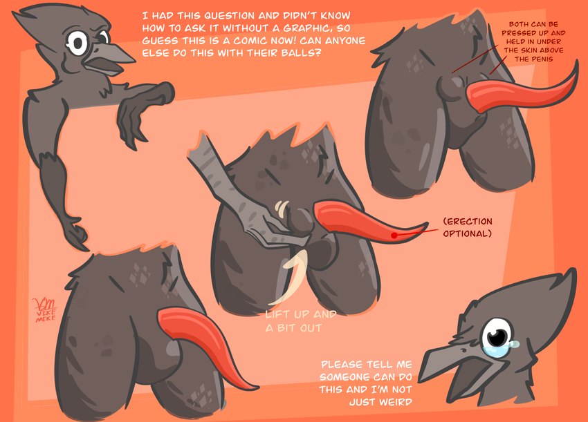 animal_genitalia animal_penis anthro arrow_pointing_to_crotch asking_viewer avian_arms ball ball_fondling balls balls_above_penis balls_focus beak becoming_erect bodily_fluids breaking_the_fourth_wall cetacean_genitalia cetacean_penis curved_penis cutaway demonstration dialogue directional_arrow disembodied_hand disembodied_head empty_scrotum erection eyebrows flaccid fondling genital_focus genitals gesture half-erect hand_gesture holding_ball holding_object looking_at_viewer male muffing non-mammal_balls nude nude_anthro nude_male open_beak open_mouth penis penis_focus pointing pointing_down question raised_eyebrow simple_background solo talking_to_viewer tapering_penis tears testicle_in_inguinal_canal text touching_balls vike_mike avian bird corvid corvus_(genus) crow oscine passerine digital_drawing_(artwork) digital_media_(artwork) english_text hi_res