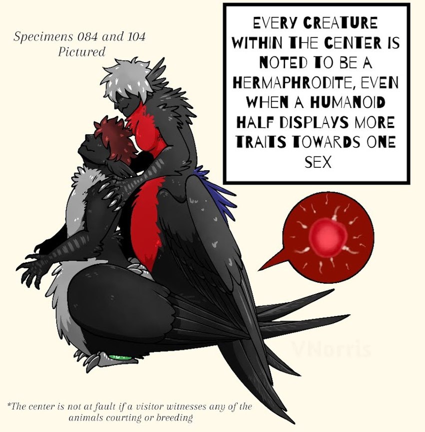 avian_feet clawed_fingers claws covered_eyes duo feather_ear feather_hair feathering feathers fur herm intersex intersex/intersex maleherm pseudo_hair sperm_cell spread_wings taur_on_taur text toe_claws wings wings_folded puppetmaster13uwu european_mythology greek_mythology mythology avian avian_taur bird bird_taur frigatebird harpy humanoid mythological_avian mythological_creature taur cel_shading english_text shaded