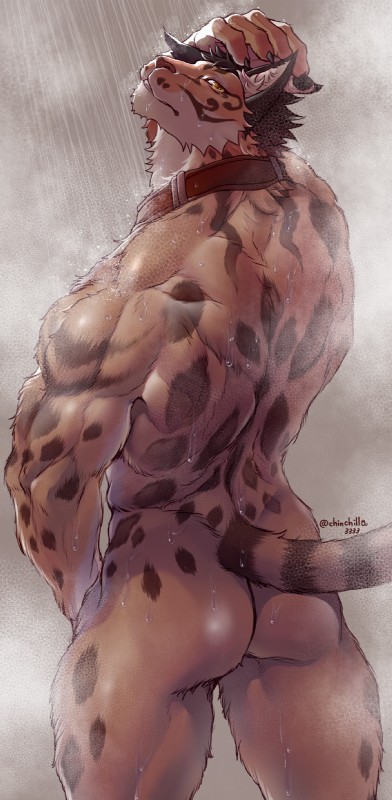 anthro back_muscles big_muscles butt countershading fur hair looking_at_viewer looking_back male markings muscular muscular_anthro muscular_male rear_view solo spots spotted_body spotted_fur water wet wet_body wet_fur chinchilla3333 nekojishi studio_klondike likulau clouded_leopard felid mammal pantherine hi_res