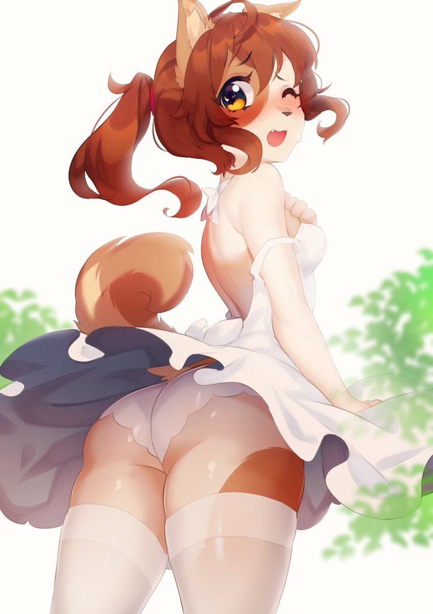 anthro bottomwear brown_hair butt clothed clothing female fully_clothed hair legwear looking_back one_eye_closed panties ponytail rear_view skirt solo standing stockings underwear upskirt yellow_eyes niniidawns canid canine canis domestic_dog mammal absurd_res hi_res