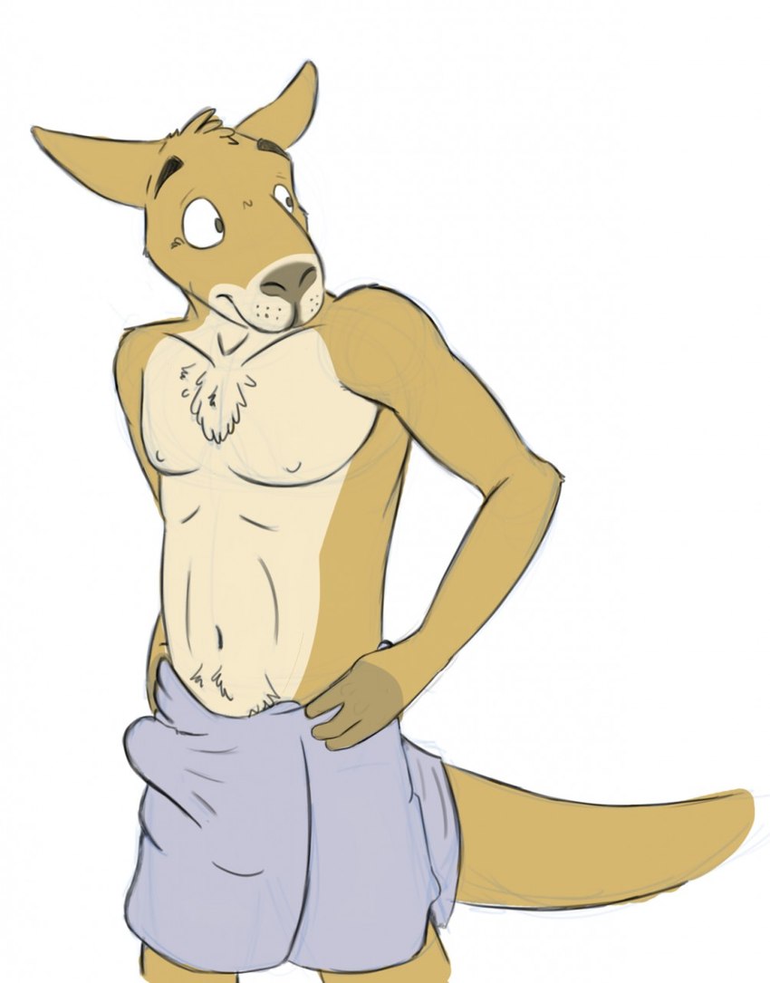 anthro belly belly_tuft biped black_eyebrows brown_body brown_ears brown_eyes brown_fur brown_tail chest_tuft erection erection_under_towel eyebrows fur grey_towel hand_on_hip head_tuft looking_aside male navel nipples simple_background solo standing tail tan_belly tan_body tan_fur towel towel_around_waist towel_only tuft white_background bucklebunny kangaroo macropod mammal marsupial digital_media_(artwork) hi_res