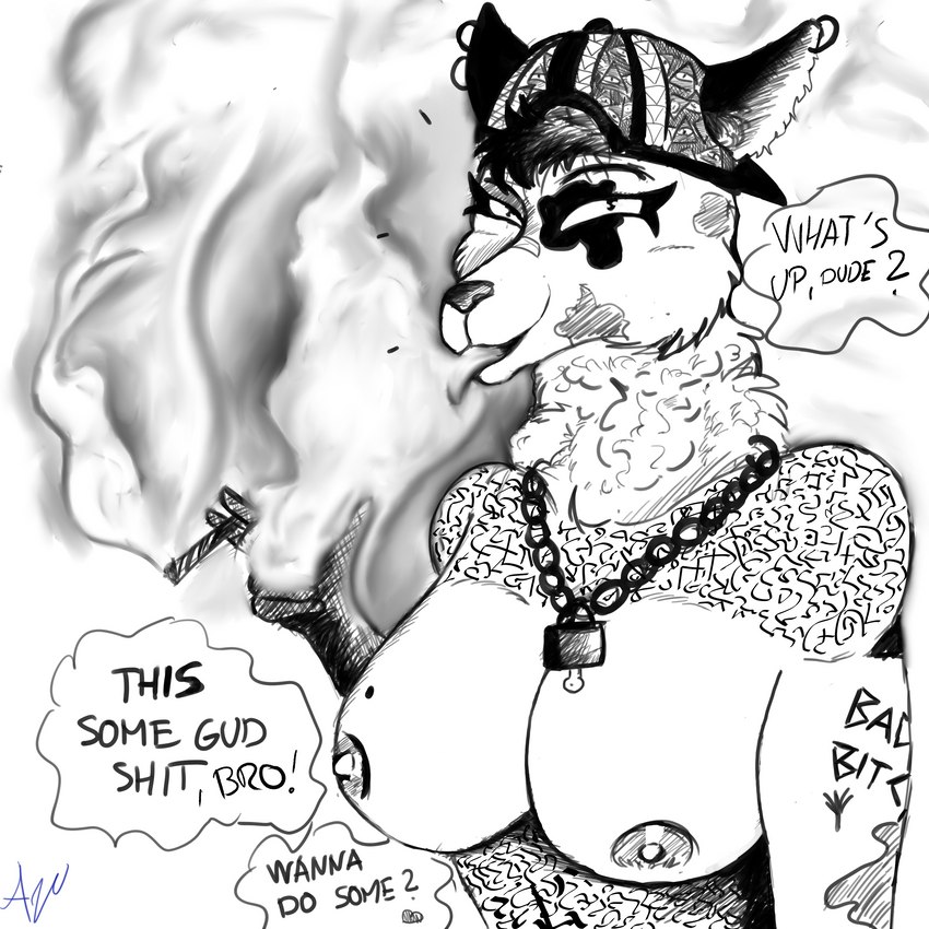 anthro big_breasts breasts chain clothing curvy_figure dialogue drugs female fluffy fur hat headgear headwear humor looking_at_viewer makeup marijuana markings nipples piercing simple_background smile smoking solo standing stoned substance_intoxication tattoo text voluptuous avelvision canid canine canis domestic_dog mammal 1:1 absurd_res english_text hi_res sketch