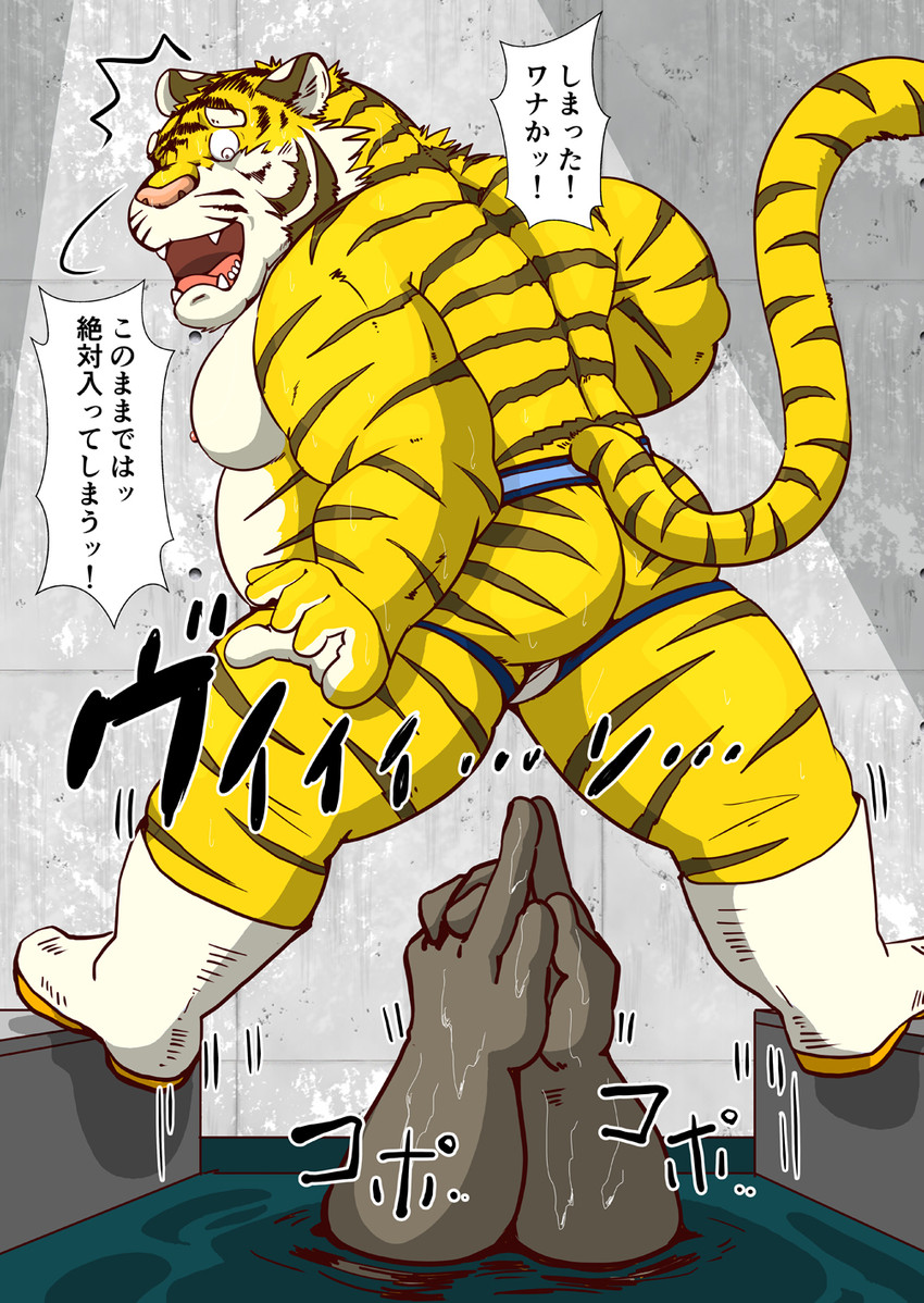 anthro balls belly clothing duo fur genitals humanoid_hands jockstrap kancho kemono male moobs nipples overweight overweight_male solo_focus text underwear water white_body white_fur yellow_body yellow_fur raichoclub felid mammal pantherine tiger 2019 hi_res japanese_text