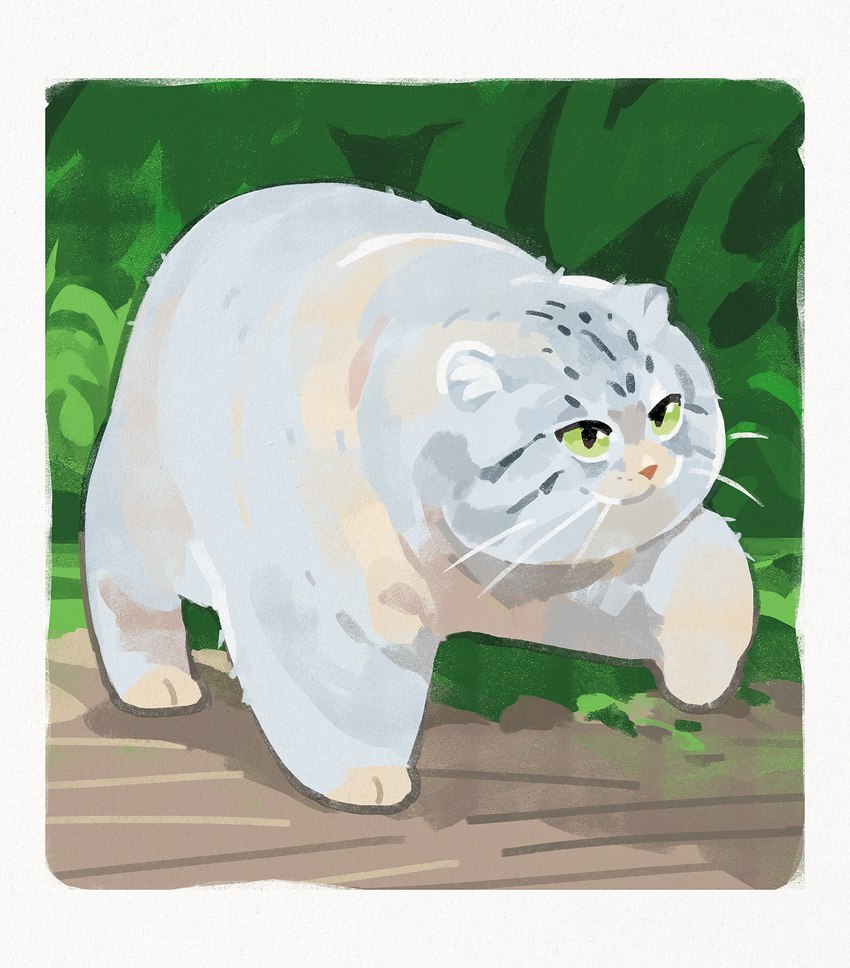 ambiguous_gender feral fluffy fur green_eyes grey_body grey_fur paws snout solo whiskers gentleeeeeeecat felid feline mammal pallas's_cat 2022 digital_media_(artwork) digital_painting_(artwork) hi_res painting_(artwork)