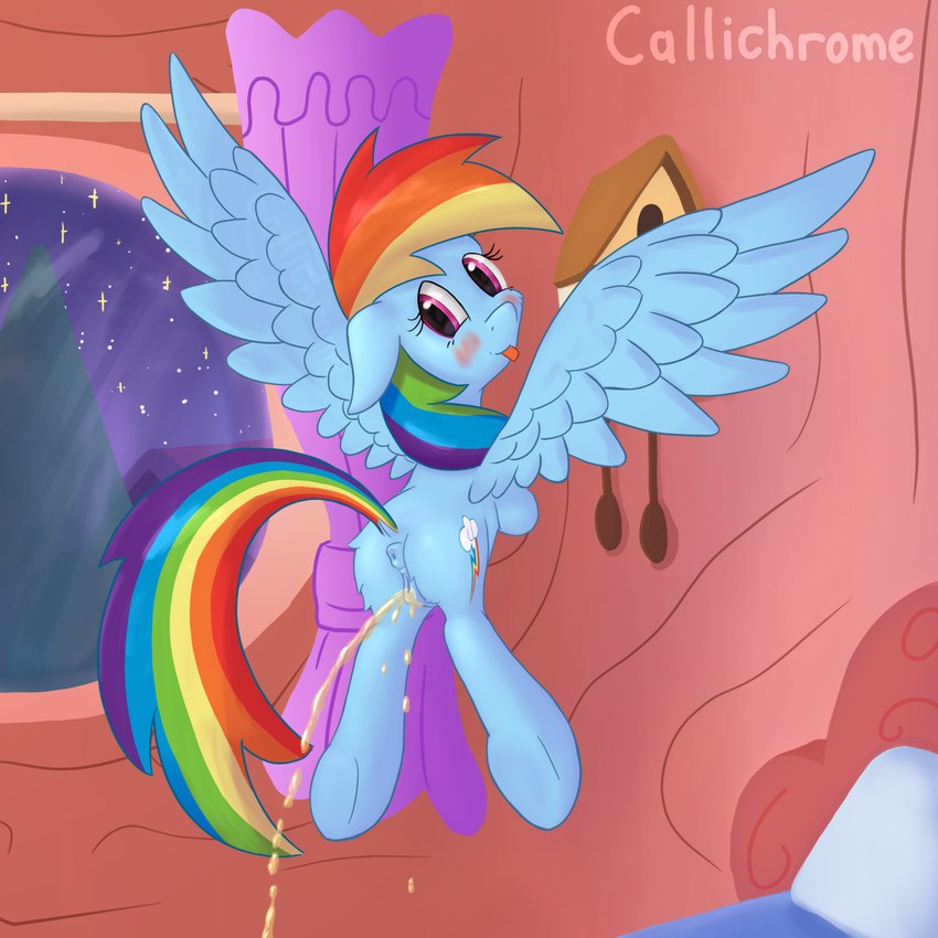 rainbow dash (friendship is magic and etc) created by callichrome