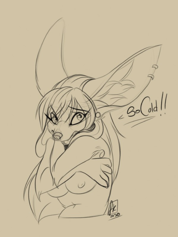 anthro big_ears breasts cold crossed_arms erect_nipples female nipples nude piercing solo jesterghastly rose_dandy-ba canid canine fennec_fox fox hybrid mammal mink mustelid musteline true_fox true_musteline hi_res sketch