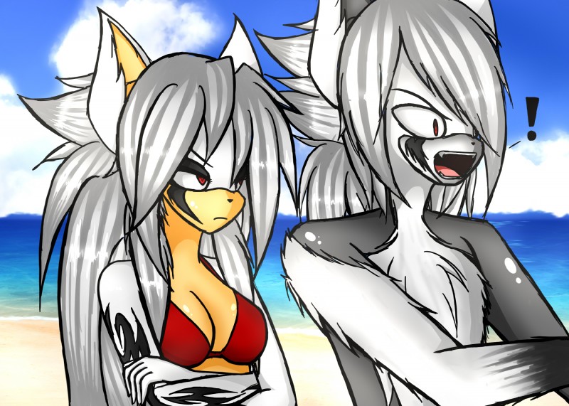 anthro beach bra breasts clothing cloud detailed_background duo female fur grey_body grey_fur hair long_hair male outside red_eyes sand seaside sky underwear water white_body white_fur white_hair blakethehedgehog16 sega sonic_the_hedgehog_(series) akira_nakamura canid canine canis eulipotyphlan hedgehog mammal wolf 2016 digital_media_(artwork) hi_res