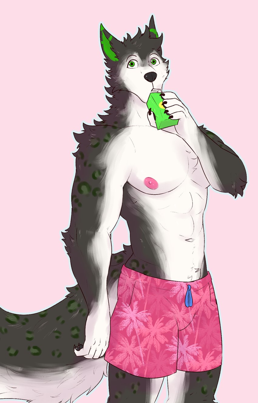 anthro beverage clothed clothing curious drinking ear_markings fur green_markings juice_box male markings multicolored_ears simple_background solo spots swimwear tail white_body white_fur himerosthegod jake_nirazar canid canine canis domestic_dog husky mammal nordic_sled_dog spitz digital_media_(artwork) hi_res