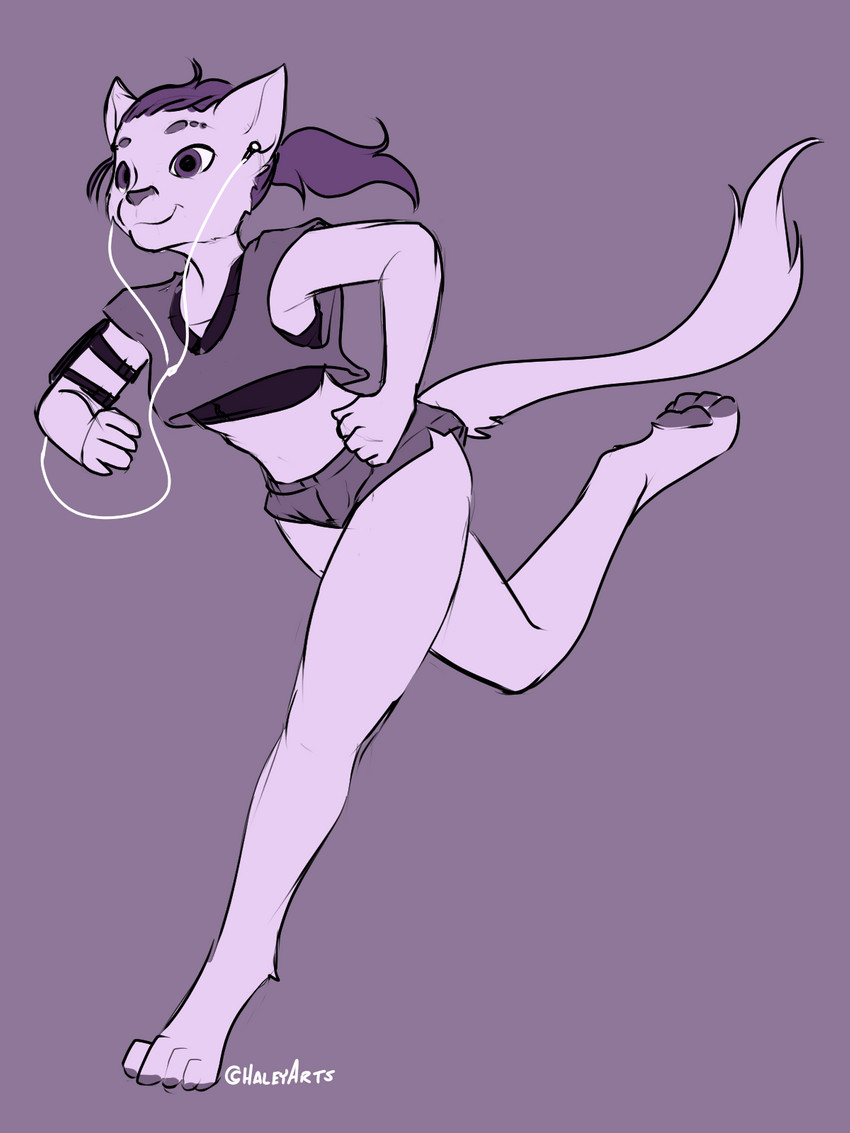 anthro athletic athletic_anthro athletic_female barefoot bottomwear clothing digitigrade dolphin_shorts earbuds electronics feet female hair headphones jogging monotone_earbuds monotone_headphones pawpads ponytail running shirt shorts simple_background smile solo tank_top topwear white_earbuds white_headphones halcy0n domestic_cat felid feline felis mammal 2020 3:4 hi_res