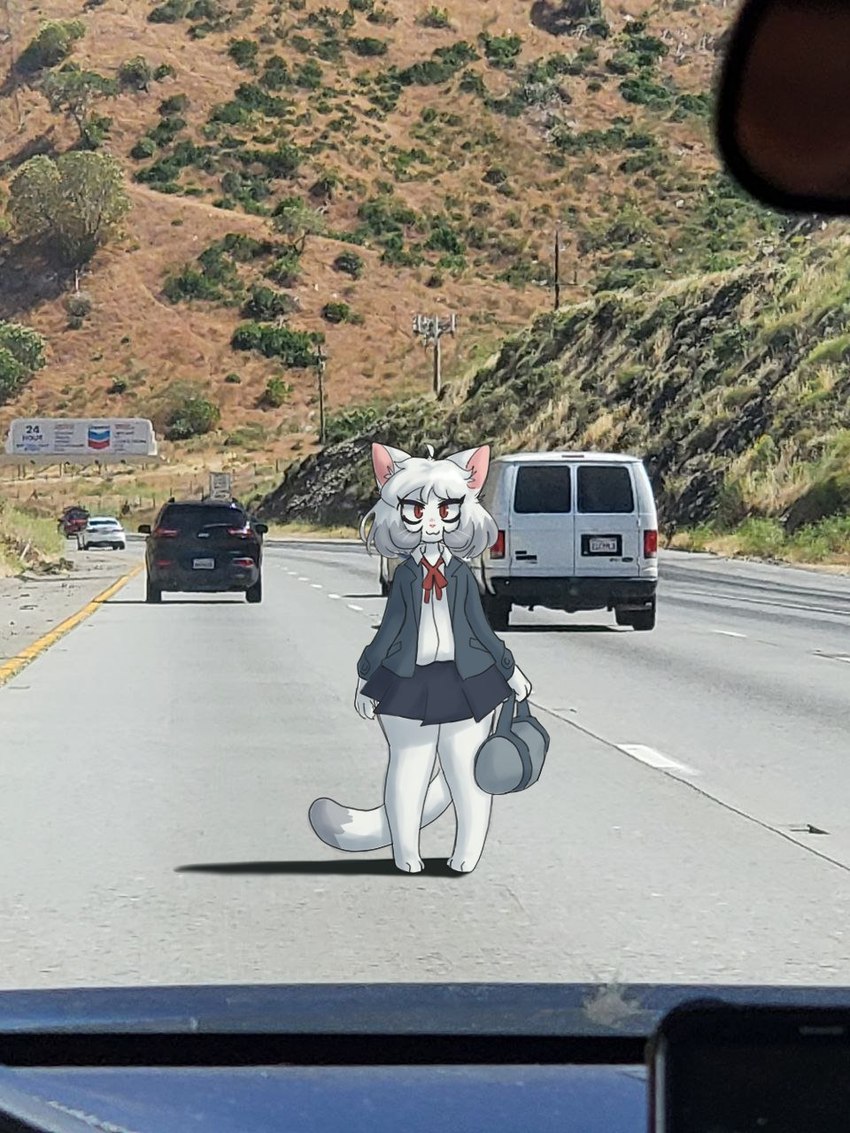 anthro barefoot bottomwear clothed clothing dipstick_tail duffel_bag feet female female_anthro freeway front_view fully_clothed fur grey_body grey_fur grey_hair hair holding_bag kemono knock-kneed looking_at_viewer markings medium_truck motor_vehicle multicolored_body multicolored_fur multicolored_hair multicolored_tail paws photo_background real school_uniform shadow short_hair skirt small_feet solo standing suv tail tail_markings toes truck_(vehicle) uniform van vehicle whiskers white_body white_fur white_hair wide_hips robosylveon chevron_(copyright) robo_(robosylveon) domestic_cat felid feline felis mammal 2022 3:4 digital_media_(artwork) hi_res mixed_media photography_(artwork)