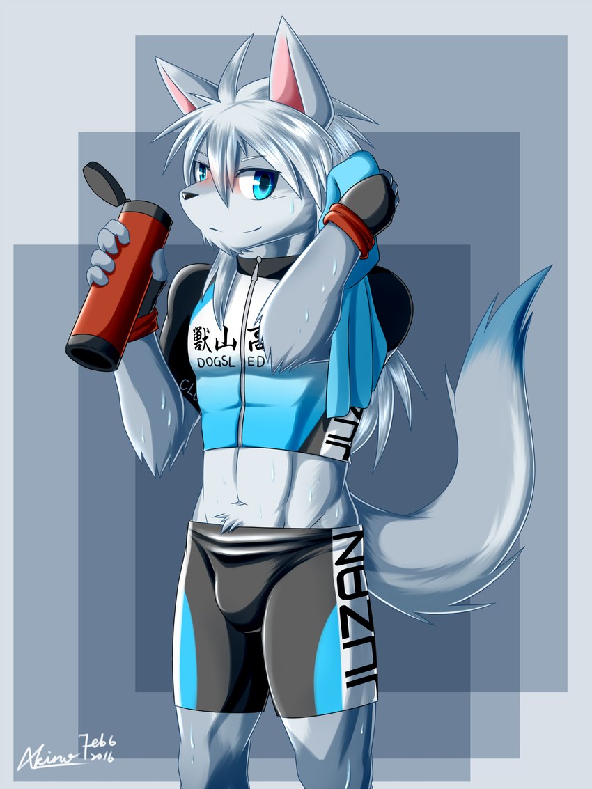 abs adolescent anthro bodily_fluids bottle bulge clothing container exposed_belly male muscular muscular_male navel simple_background slight_blush solo sweat tail towel tracksuit water_bottle young young_anthro young_male akino-kamihara dogsled_club akebono_yuminaga_(akino-kamihara) canid canine canis hybrid mammal wolfdog 3:4 absurd_res hi_res