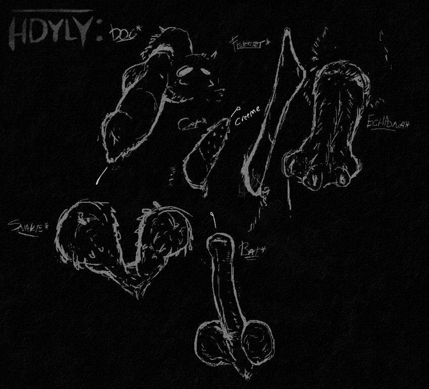 2_penises animal_genitalia animal_penis balls bodily_fluids canine_genitalia chiropteran_penis disembodied_penis echidna_penis feline_genitalia feline_penis genital_fluids genital_slit genitals hemipenes knot knotted_penis logo male multi_genitalia multi_penis mustelid_penis penile_spines penis penis_everywhere sheath text hdyly absurd_res artist_logo artist_name digital_media_(artwork) english_text hi_res monochrome multiple_images signature