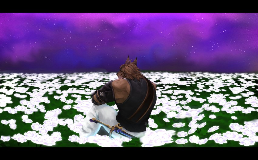 anthro brown_body brown_fur brown_hair clothed clothing flower flower_field fully_clothed fur grass hair looking_at_viewer male melee_weapon orange_sclera outside plant purple_sky rear_view sitting sitting_on_ground sky smile solo star starry_sky sword weapon white_flower koudro final_fantasy final_fantasy_xiv square_enix felid hrothgar mammal 2023 absurd_res hi_res letterbox