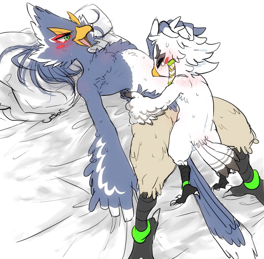 adult_on_young age_difference aged_down anthro arched_back beak bed blue_body blue_feathers blush cloacal cloacal_penetration dominant dominant_young duo feathers femboy furniture male male/male male_penetrated male_penetrating male_penetrating_male penetration sex size_difference small_dom_big_sub white_body white_feathers young young_anthro younger_dom_older_sub popemadara breath_of_the_wild nintendo the_legend_of_zelda revali teba_(tloz) avian bird rito