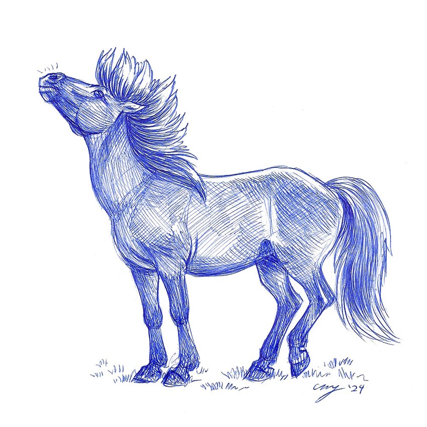 female feral grass hair plant solo standing megan_giles equid equine horse mammal 2024 blue_and_white monochrome traditional_media_(artwork)