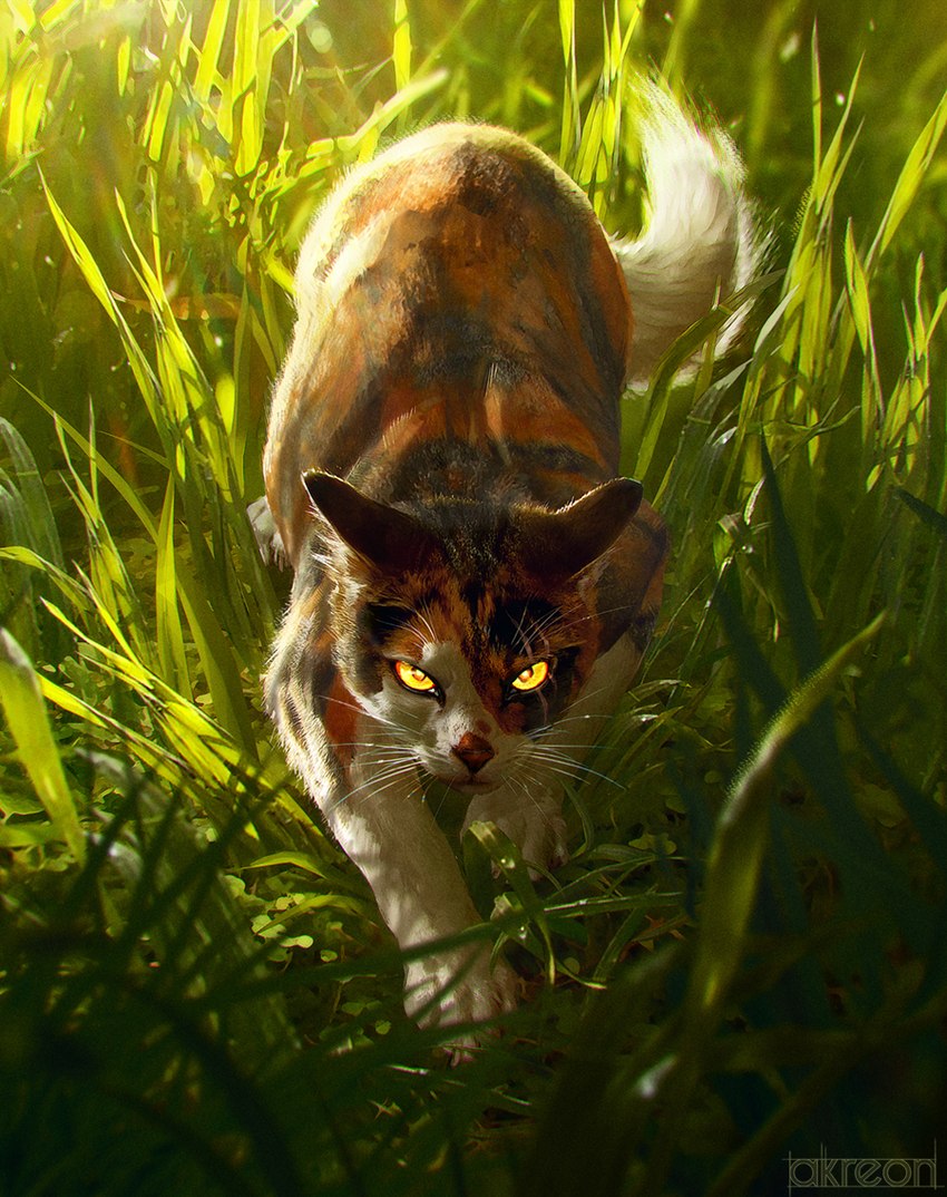 amazing_background ambiguous_gender black_body black_fur crouching detailed_background feet feral fur grass light looking_at_viewer multicolored_body multicolored_fur orange_body orange_fur outside paws photorealism plant realistic scar solo tail whiskers white_body white_fur yellow_eyes akreon warriors_(book_series) mapleshade_(warriors) calico_cat domestic_cat felid feline felis mammal book_cover cover detailed digital_media_(artwork) digital_painting_(artwork) lighting official_art shaded unavailable_at_source watermark female_(lore)