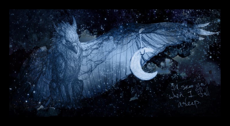 ambiguous_gender beak crescent_moon detailed_background feathered_wings feathers feral moon night outside sitting sky solo spread_wings star starry_sky text wings novawuff mythology avian gryphon mythological_avian mythological_creature 2013 english_text hi_res portrait sketch