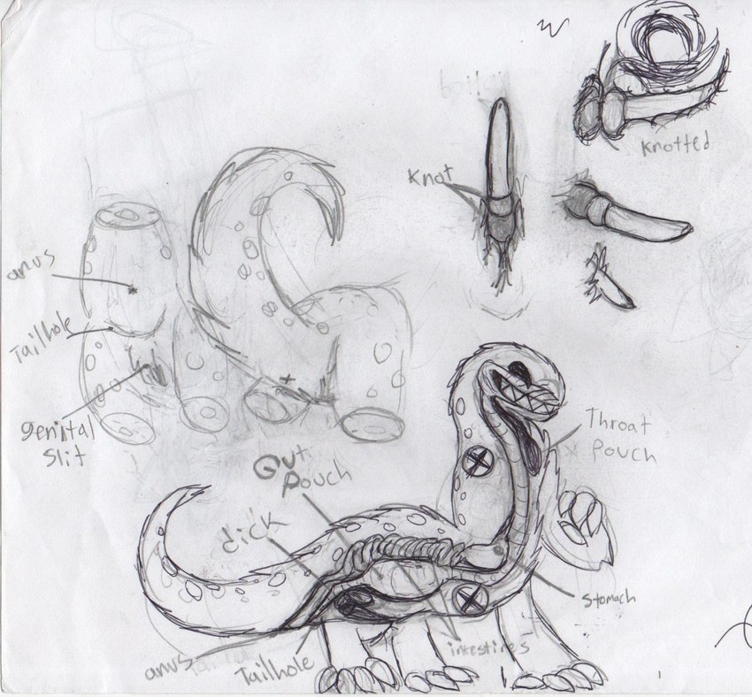 anatomical_diagram anatomy_reference anthro anus cross_section diagram internal label male multi_limb reproductive_anatomy smile solo teeth text halvid9508 mawlo_(halvid9508) mammal monster taur english_text graphite_(artwork) hi_res pencil_(artwork) traditional_media_(artwork)