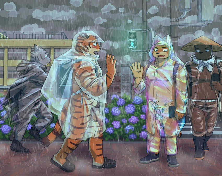 anthro balls blush brown_body casual_exposure clothing coat detailed_background flaccid foreskin genitals group hat headgear headwear humanoid_genitalia humanoid_hands humanoid_penis kemono male orange_body outside penis raincoat raining topwear translucent translucent_clothing translucent_raincoat walking royalsobatya bear canid canine canis domestic_dog felid mammal pantherine tiger 2022 hi_res