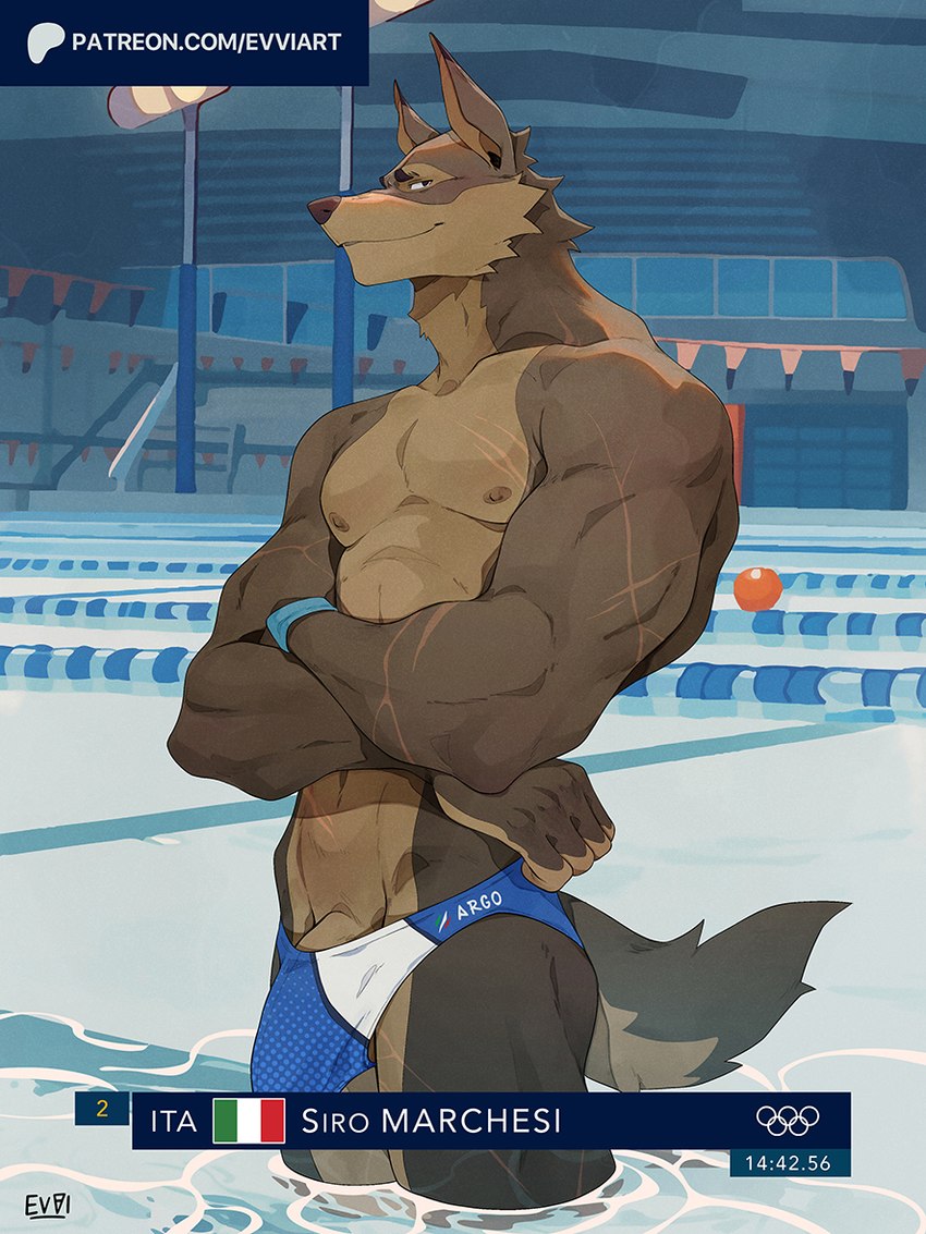 anthro brown_body brown_fur bulge clothing fur genitals humanoid_genitalia humanoid_penis ineffective_clothing italian_flag looking_aside male penis penis_base solo speedo swimming_pool swimwear text water wet wristband evvi 2024_paris_olympics olympics canid canine canis mammal wolf 2024 url