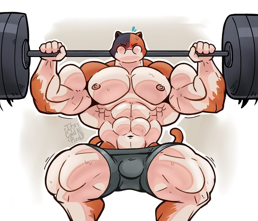 anthro barbell big_bulge big_muscles blush bodily_fluids bulge clothed clothing exercise eyes_closed front_view holding_breath holding_object huge_muscles male moobs muscular muscular_male nipples shorts_only simple_background solo sweat topless topless_male weightlifting weights workout its_coldpizza epic_games fortnite meowscles calico_cat domestic_cat felid feline felis mammal hi_res