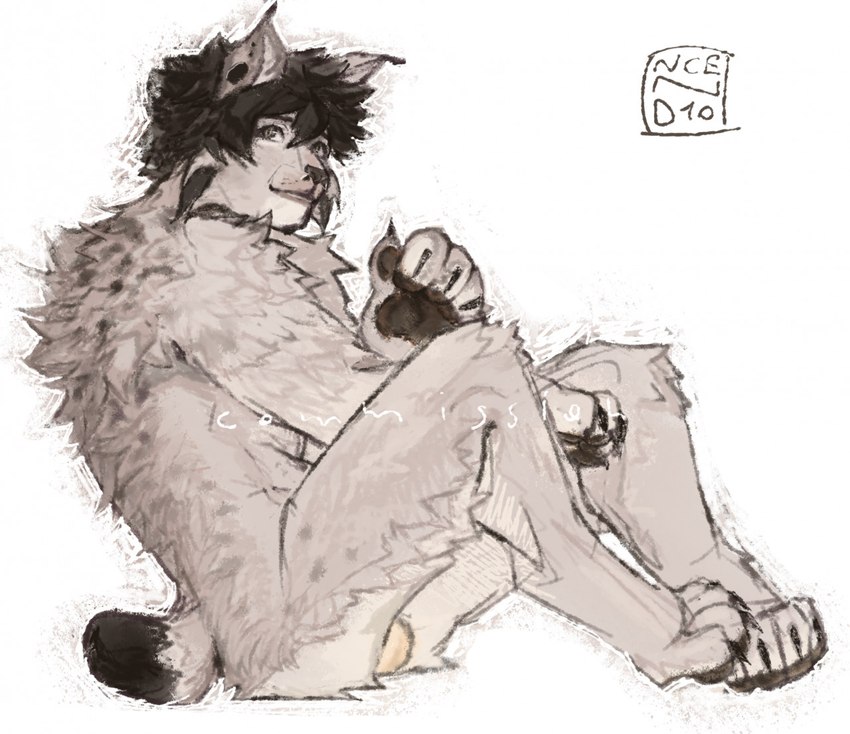 anthro balls black_hair fluffy fur genitals grey_body grey_fur hair male nub_tail pawpads paws solo ncend1o lynx_(lynx_scenting) canada_lynx felid feline lynx mammal