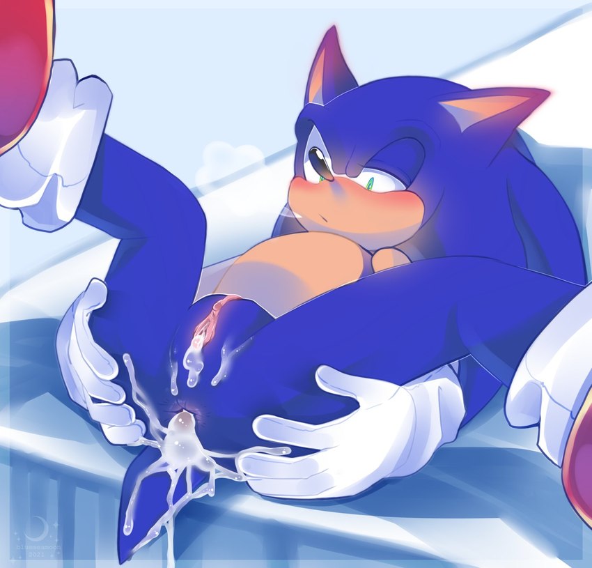 sonic the hedgehog (sonic the hedgehog (series) and etc) created by blueseamoon