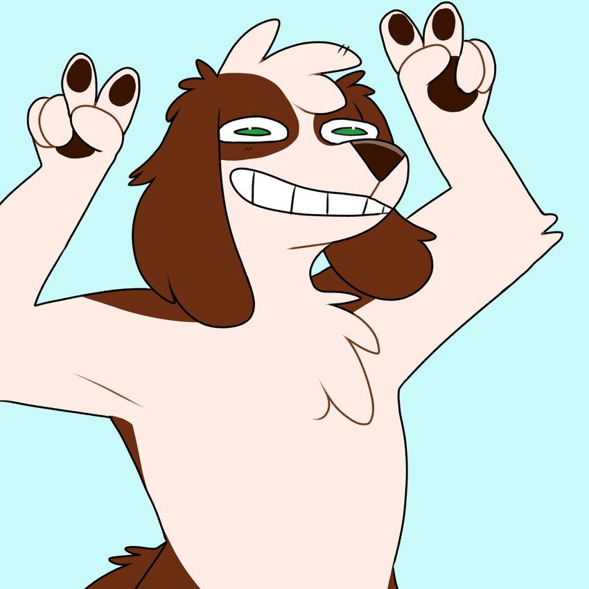 anthro black_nose black_pawpads blue_background brown_body brown_fur chest_tuft double_v_sign floppy_ears fur gesture green_eyes grin hand_gesture head_tuft lop_ears male nude pawpads simple_background smile snout solo tail teeth tuft v_sign white_body white_fur cuppatabby cloud_(cloudpie) bird_dog canid canine canis cavalier_king_charles_spaniel domestic_dog hunting_dog mammal spaniel toy_dog 1:1 2020 digital_drawing_(artwork) digital_media_(artwork) flat_colors half-length_portrait hi_res portrait female_(lore)