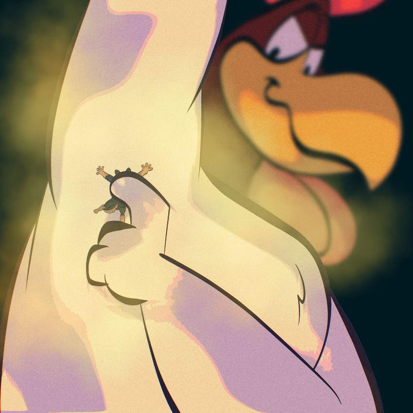 anthro armpit_fetish armpit_play balls beak black_body black_fur brown_body brown_fur duo extreme_size_difference feathers fur genitals macro male male/male micro red_body red_feathers size_difference smile white_body white_feathers joesanchez looney_tunes warner_brothers foghorn_leghorn gunner_rotthbauer avian bird canid canine canis chicken domestic_dog galliform mammal mastiff molosser phasianid rottweiler 1:1 digital_media_(artwork) hi_res