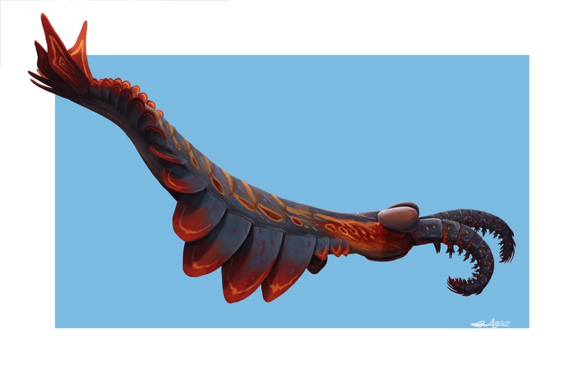 ambiguous_gender black_body blue_background claws feral fin glistening glistening_body glistening_eyes great_appendages markings orange_eyes orange_markings red_markings red_tail side_view simple_background solo tail white_background thewoodparable anomalocarid anomalocaris arthropod marine prehistoric_species 2019 absurd_res hi_res signature