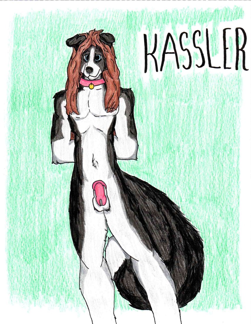 anthro balls chastity_cage chastity_device collar collar_only fur genitals hair male nude nude_anthro penis pink_chastity_cage simple_background smile solo submissive tail text kassler kassler_scott border_collie canid canine canis collie domestic_dog herding_dog mammal pastoral_dog sheepdog hi_res