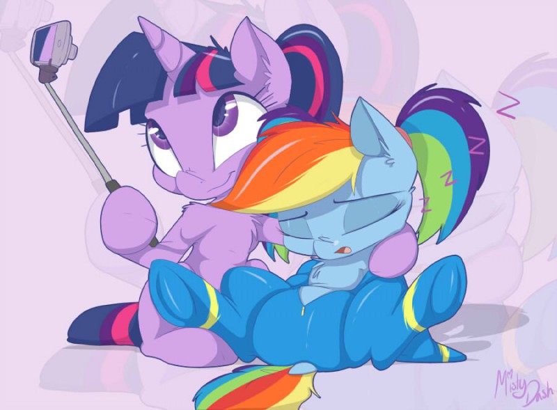 rainbow dash and twilight sparkle (friendship is magic and etc) created by mistydash