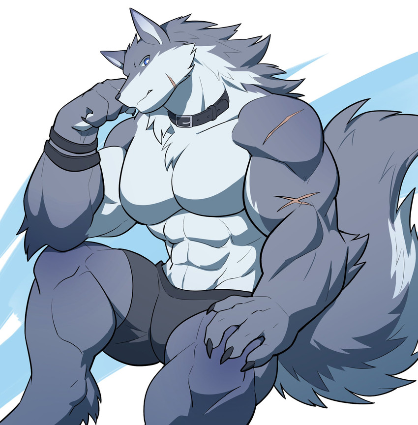 abs anthro biceps clothed clothing fur male multicolored_body multicolored_fur muscular muscular_anthro muscular_male pecs scar simple_background solo topless velk canid canine canis mammal wolf 2020 digital_media_(artwork) hi_res