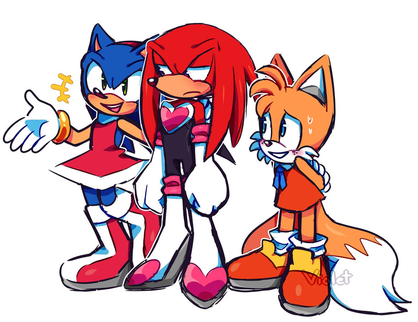 knuckles the echidna, sonic the hedgehog, cream the rabbit, rouge the bat, miles prower, and etc (sonic the hedgehog (series) and etc) created by violetmadness7