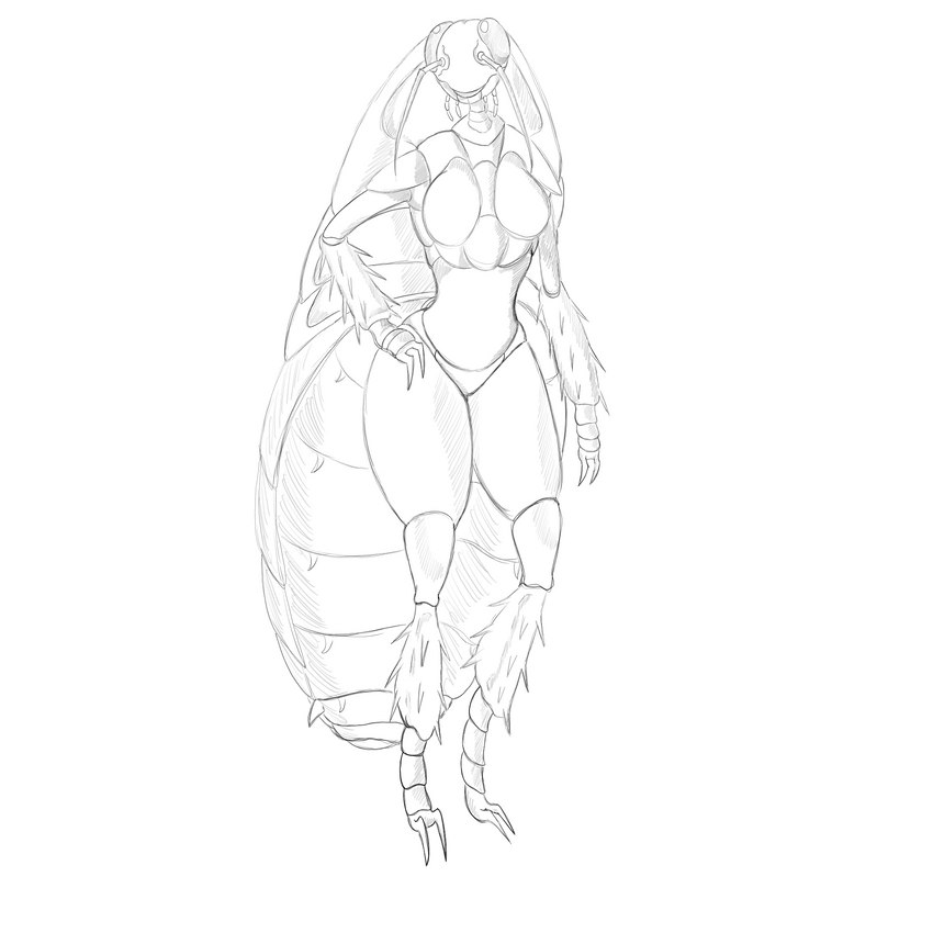 anthro carapace detailed_sketch female segmented solo levidos arthropod blattodea cockroach insect 1:1 hi_res monochrome sketch