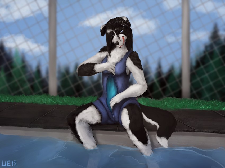 anthro black_body black_fur black_hair black_lips black_nose blue_eyes clothing cloud female fence foot_in_water fur grass hair inviting licking licking_lips lips logo looking_at_viewer naughty_face open_mouth outside plant sitting sky solo swimming_pool swimwear tail teeth tongue unzipped unzipping whisker_spots white_body white_fur zipper unstableimagination animate_inanimate border_collie canid canine canis collie domestic_dog herding_dog living_clothing mammal pastoral_dog sheepdog 2020 4:3 artist_logo hi_res