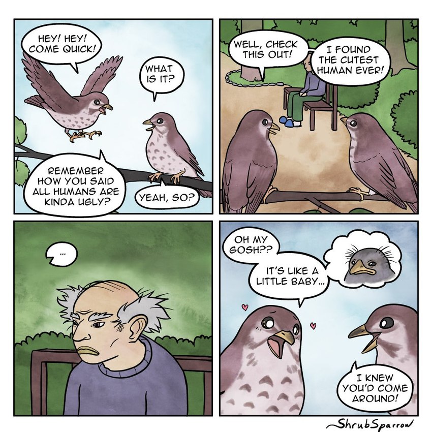 4_panel_comic age_difference anterior_nasal_aperture bald beak black_text blue_slippers blush blush_lines bottomwear branch brown_body brown_eyes clothing cloud day dialogue duo ellipsis exclamation_point eyebrows feathered_wings feathers feet flying footwear green_bottomwear green_clothing green_lips green_pants grey_clothing grey_hair grey_shirt grey_topwear hair heart_symbol imagination leaf lips looking_at_another male mature_male midair older_male open_mouth outside pants plant pupils question_mark red_heart shirt shoes shrub sitting sky slippers solo speech_bubble standing talking_to_another talons text thick_eyebrows thick_lips thought_bubble toes tongue topwear tree white_pupils wings shrubsparrow_(artist) avian bird human mammal oscine passerine sparrow 2024 artist_name comic digital_media_(artwork) english_text