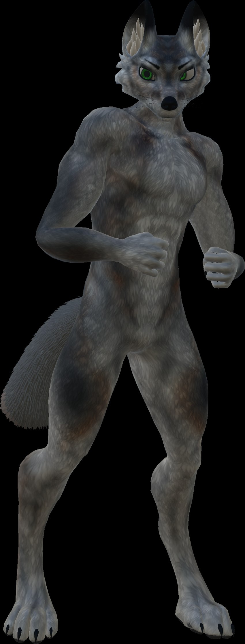 athletic male neos solo vrchat_model elysium_avatars vrchat canid canine canis mammal wolf 3d_(artwork) absurd_res alpha_channel digital_media_(artwork) hi_res