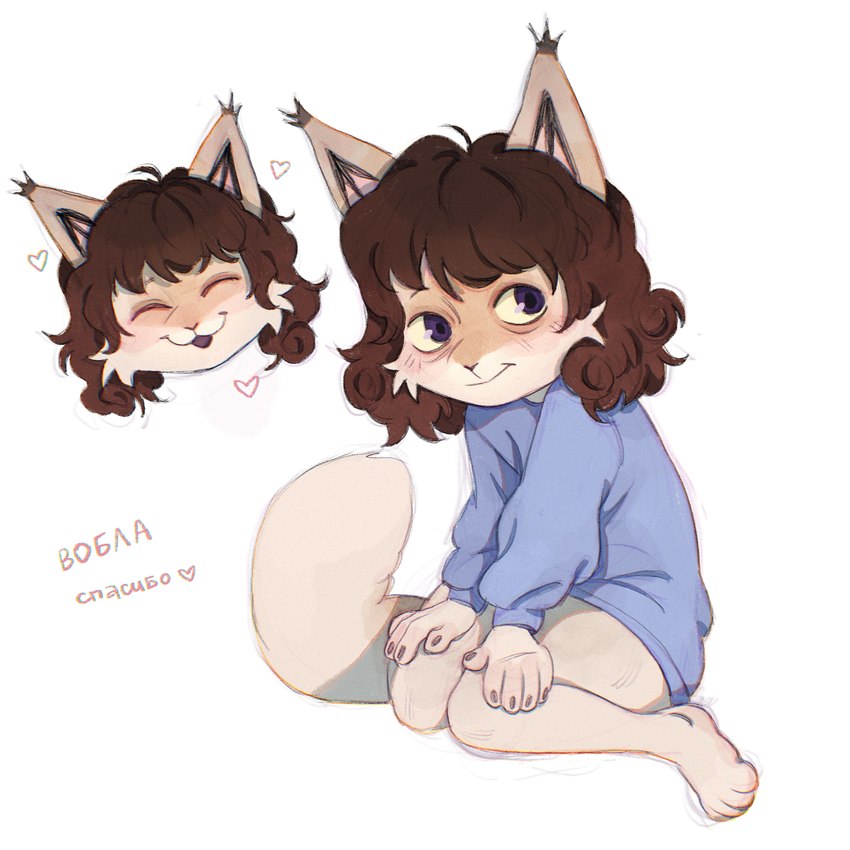 anthro bent_legs big_tail blush brown_hair claws clothed clothing disembodied_head ear_tuft fur hair happy head_tilt heart_symbol male messy_hair multicolored_body multicolored_fur paws purple_eyes simple_background smile solo sweatshirt tail text topwear tuft two_tone_body two_tone_fur white_background white_body white_fur vobla felix_(vvaltz) felid feline felis lynx mammal digital_drawing_(artwork) digital_media_(artwork) hi_res russian_text
