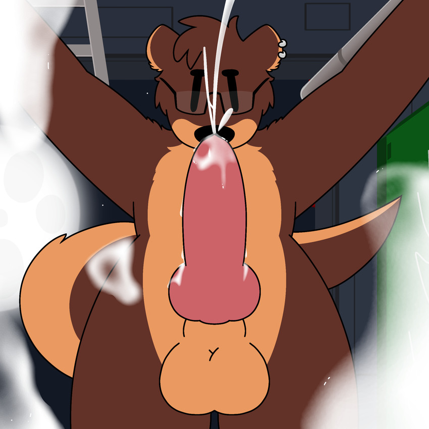 alley animal_genitalia anthro balls big_tail bodily_fluids brown_body brown_fur cum cum_on_penis cum_on_screen ear_piercing ear_ring ejaculation excessive_cum excessive_genital_fluids eyewear fur genital_fluids genitals glasses knot knotted_penis looking_at_viewer male night outside penis piercing ring_piercing sheath solo tail tongue tongue_out wearing_glasses doug_polaris remy_el humanoid mammal mustelid otter 1:1 hi_res