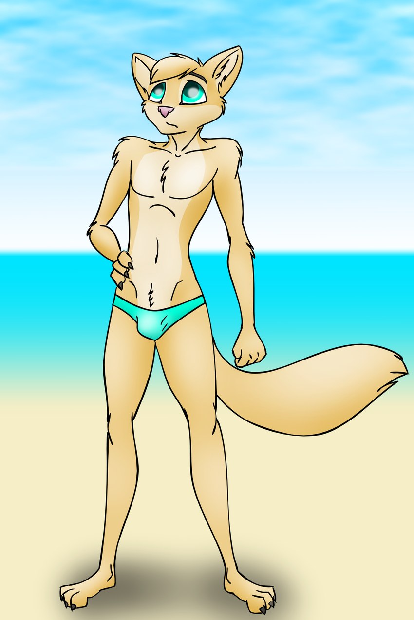 anthro beach body_hair bulge clothing feet happy_trail male outside paws seaside slim solo speedo swimwear dizzyvixen tobin_(dizzyvixen) mammal mustelid musteline true_musteline weasel hi_res