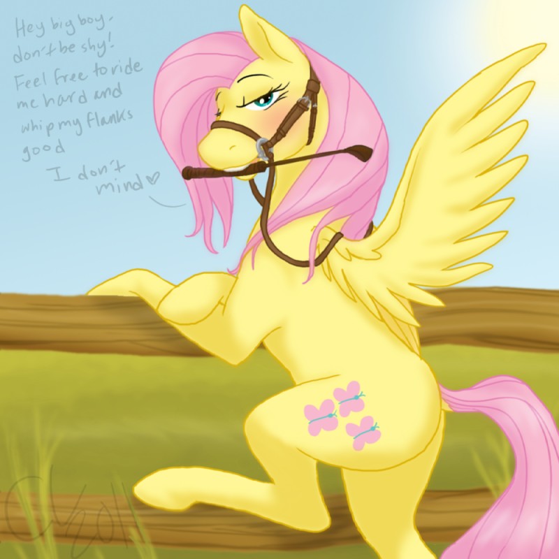 blush bridle cutie_mark day dialogue feathered_wings feathers female feral fur hair looking_at_viewer outside pink_hair playful reins riding_crop solo text whip wing_boner wings yellow_body yellow_feathers yellow_fur cartoonlion friendship_is_magic hasbro my_little_pony mythology fluttershy_(mlp) equid equine mammal mythological_creature mythological_equine pegasus 1:1 2011 english_text