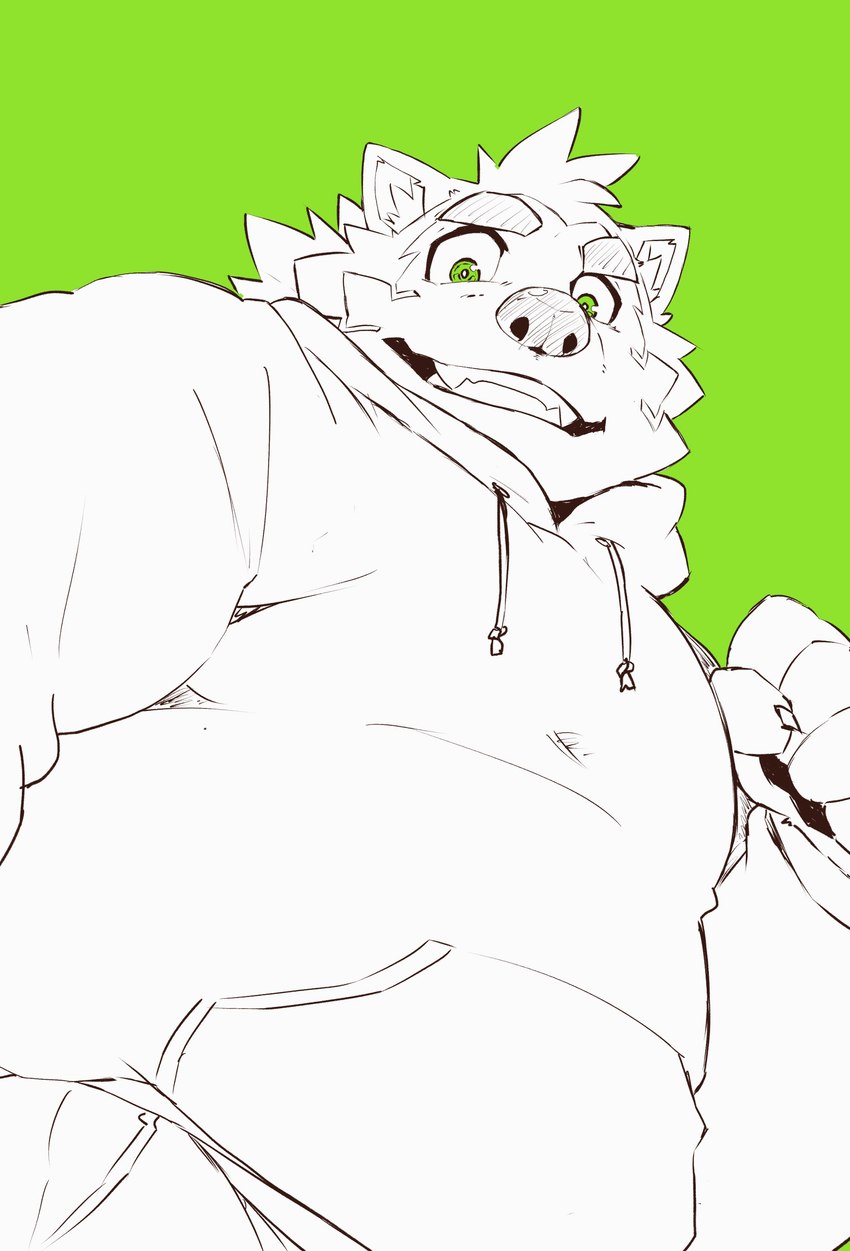 anthro clothing eyebrows green_background green_eyes hoodie low-angle_view male simple_background smile solo thick_eyebrows topwear heylaw21 lifewonders live_a_hero mokdai canid canine canis domestic_dog mammal absurd_res hi_res sketch