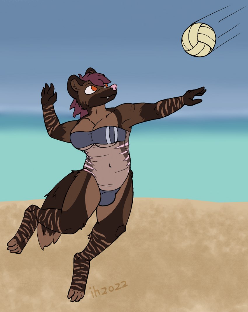 action_pose anthro ball barefoot beach big_breasts breasts bulge clothing feet gynomorph intersex motion_lines motion_path object_motion_path one-piece_swimsuit path_lines pose seaside solo sport swimsuit_bulge swimwear translucent translucent_clothing translucent_swimwear under_boob volleyball volleyball_(ball) impishhyena gris_swimsuit meme_clothing vex_(furryintersex) hyena mammal hi_res meme