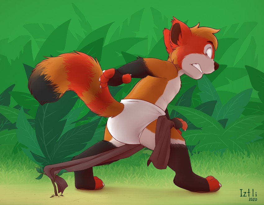 anthro branch clothed clothing diaper male open_mouth outside simple_background solo topless topless_male young young_anthro iztli ailurid mammal red_panda 2022 hi_res signature