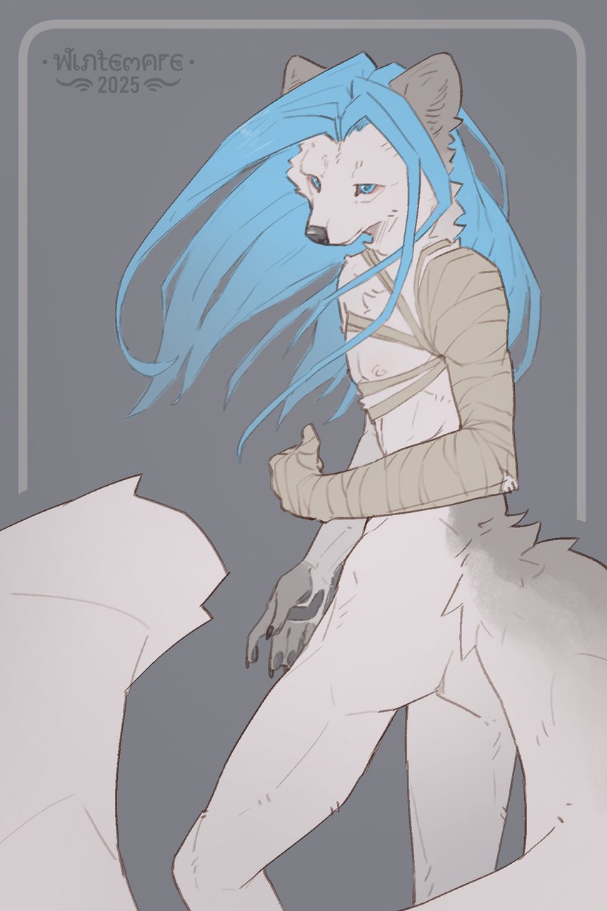 anthro blue_hair butt facial_tuft fur grey_body grey_fur hair long_hair long_tail male neck_tuft nipples nude pawpads rear_view simple_background solo tail tuft white_body white_fur wintemare arctic_fox canid canine fox mammal true_fox 2:3 hi_res