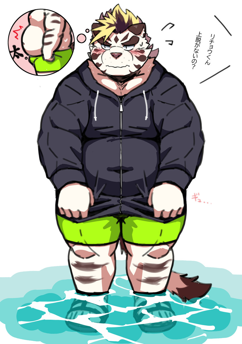 anthro belly big_belly blush bulge clothing footwear fur hoodie humanoid_hands kemono male navel overweight overweight_anthro overweight_male sandals shoes solo swimwear text topwear water white_body white_fur ptcmtr lifewonders tokyo_afterschool_summoners licho_(tas) felid mammal pantherine tiger 2020 absurd_res hi_res japanese_text